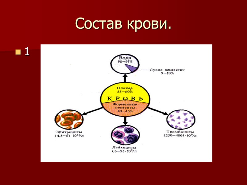 Состав крови. 1